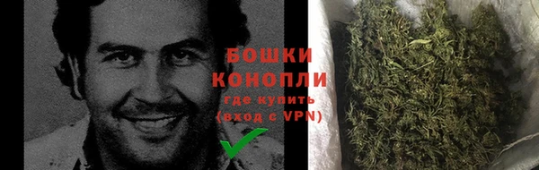 крисы Арсеньев
