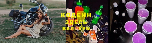 крисы Арсеньев
