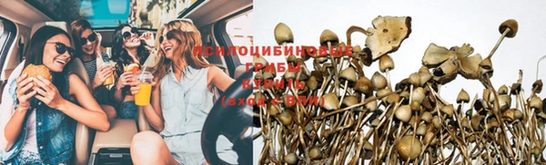 прущая мука Аркадак